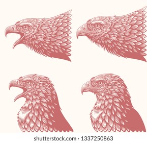 Bird head. Design set. Hand drawn engraving. Editable vector vintage illustration. Isolated on light background. 8 EPS 