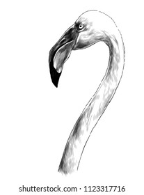 bird head Flamingo with long neck sideways in profile, sketch vector graphics monochrome illustration on white background