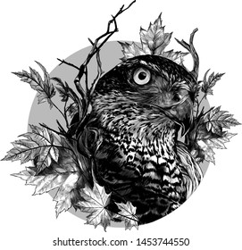bird head hawk close-up in a circle surrounded by dry branches and autumn maple leaves, sketch vector graphics monochrome illustration on white background