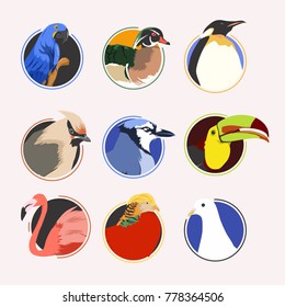 Bird Head Icon Vector Illustration. Flamingo. Blue Jay. Hyacinth Macaw. White Dove. Penguin. Wood Duck. Keel-billed Toucan. Bohemian Waxwing. Golden Pheasant 