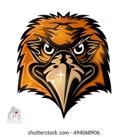 Bird head logo for any sport team hawks isolated on white