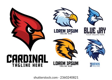 Vogel-Kopflogos für Sport- und Begleitteams. Logo-Symbol-Symbol-Emblem Set von blauen Vogel, gelben Vogel, roten Vogel, Falken, Falken, Adler Tiere Logo-Vorlage. Blauer Jay, Kardinal und mehr Vögel.
