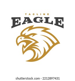 Diseño del logotipo de la mascota de la cabeza de las aves, águila, icono del emblema del halcón o del emblema del halcón