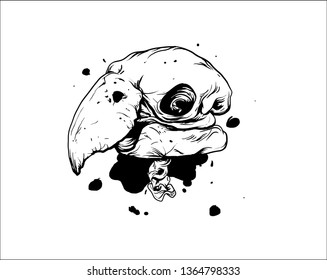 bird head skull template