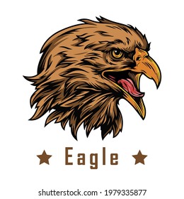 bird head vector design for logo