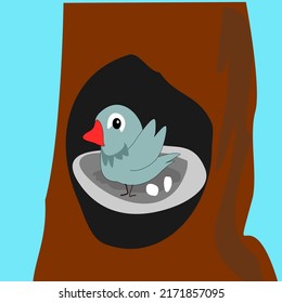 Bird With Her Eggs Sitting In The Nest Vector Illustration