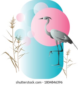 Bird heron against the sky and pink sun with reeds around. Abstract vector drawing in the original frame for design.