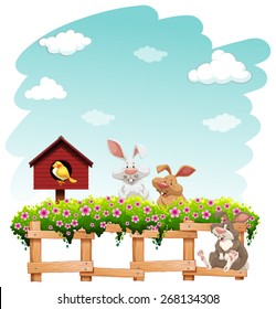 Bird house and rabbits near the fence