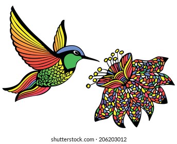 bird hummingbird flower vector illustration