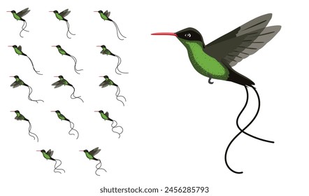 Vogel Kolibri Red-Billed Streamertail Flying Frame Animation Vektorgrafik