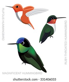 Bird Hummingbird Set Cartoon Vector Illustration