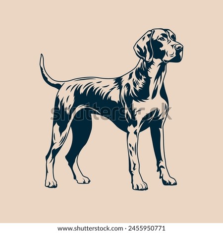 Bird hunting pointer dog standing