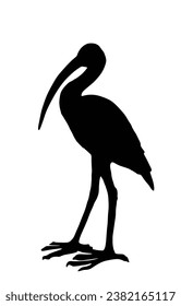Bird ibis vector silhouette illustration isolated on white background. Wather bird symbol.