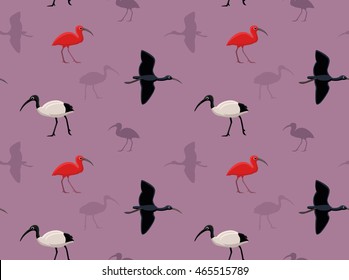 Bird Ibis Wallpaper