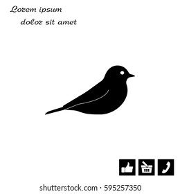 bird icon 