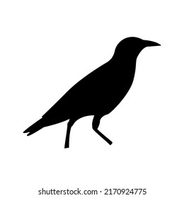 bird icon. animal sign design. vector illustration