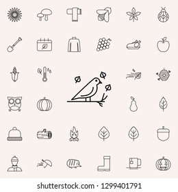 bird icon. autumn icons universal set for web and mobile