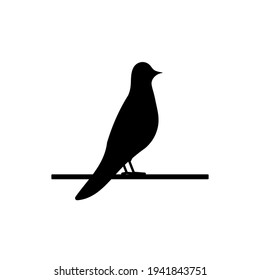 Bird icon. Black birds silhouette on branch. Vector isolated on white	