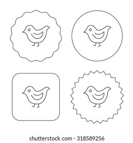 Bird icon. Chick with beak sign. Fowl with wings symbol. Flat circle, star and emblem buttons. Labels design. Vector