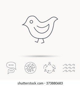 Bird icon. Chick with beak sign. Fowl with wings symbol. Global connect network, ocean wave and chat dialog icons. Teamwork symbol.
