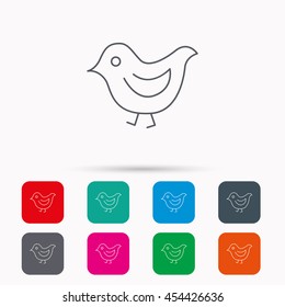 Bird icon. Chick with beak sign. Fowl with wings symbol. Linear icons in squares on white background. Flat web symbols. Vector