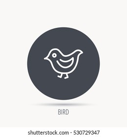 Bird icon. Chick with beak sign. Fowl with wings symbol. Round web button with flat icon. Vector