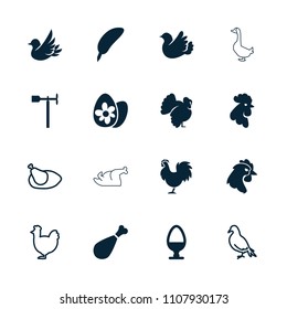 Bird icon. collection of 16 bird filled and outline icons such as rooster, turkey, feather, weather vane, egg, dove, chicken, meat leg. editable bird icons for web and mobile.