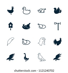 Bird icon. collection of 16 bird filled and outline icons such as chicken, eagle, goose, turkey, duck, weather vane, nesting house. editable bird icons for web and mobile.