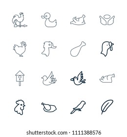 Bird icon. collection of 16 bird outline icons such as turkey, rooster, parrot, feather, chicken, goose, duck, wings, meat leg. editable bird icons for web and mobile.
