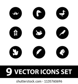 Bird icon. collection of 9 bird filled icons such as parrot, goose, cuckoo clock, chicken. editable bird icons for web and mobile.