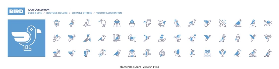 Bird icon collection. Bold line style. Duotone colors. Editable stroke. kiwi, weaver, bird of paradise, bird, eagle, golden eagle, parrot, penguin, superhero, chick, dove, pigeon.