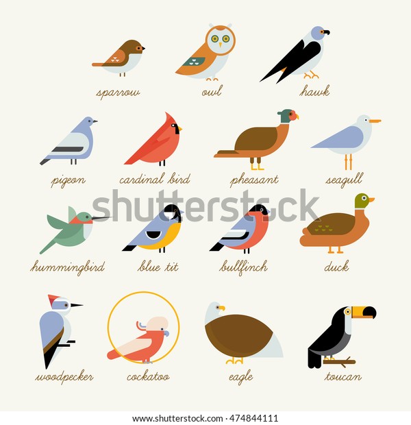 Bird Icon Collection Different Birds Species Stock Vector (Royalty Free ...