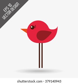 bird icon design 