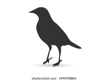 Bird icon flat. Illustration isolated vector sign symbol