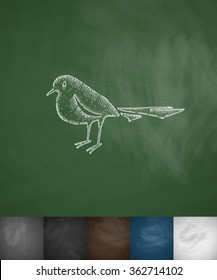 bird icon. Hand drawn vector illustration