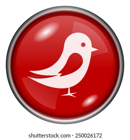 Bird icon. Internet button on white background. 
