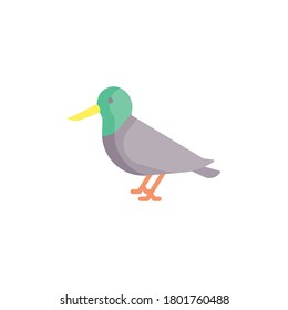 bird icon. isolated on white background