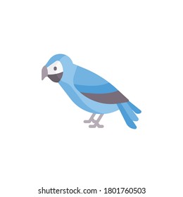 bird icon. isolated on white background