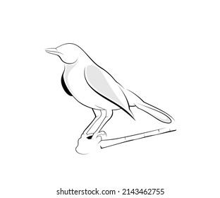 bird icon logo design outline