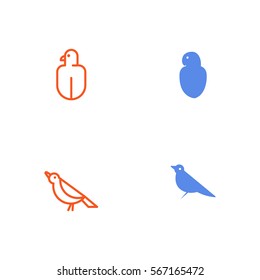 Bird Icon Logo Vector Set Element