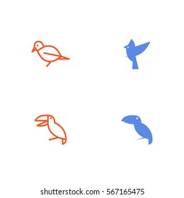 Bird Icon Logo Vector Set Element