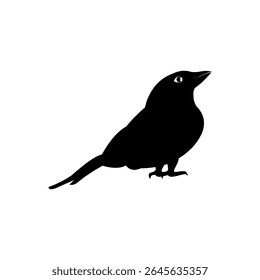 Bird icon. Nature symbol. Black bird silhouette. Bird silhouette on a white background
