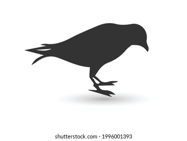 bird icon, From pets, vet and veterinary icons, Animal icons