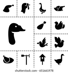 Bird icon. set of 13 filled birdicons such as turkey, goose, chicken, meat leg, weather vane, nesting house, bird
