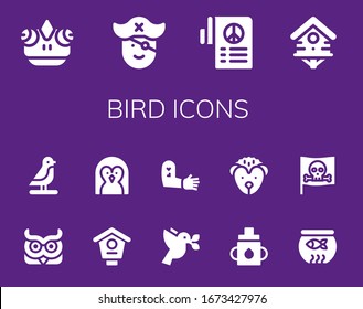 bird icon set. 14 filled bird icons. Included Chameleon, Pirate, Peace, Bird house, Owl, Penguin, Dove, Tattoo, Feeder, Hedgehog, Fish bowl icons