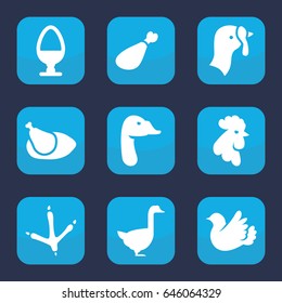 Bird icon. set of 9 filled bird icons such as turkey, footprint of  icobird, rooster, goose, meat leg, bird, chicken