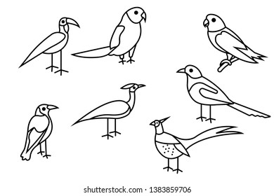 bird icon. Set of different bird vector illustration.
