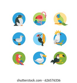 Bird icon set,  flat, eps 8 no transparencies