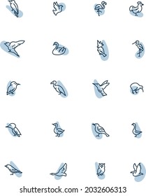 Bird icon set, illustration, vector, on a white background.