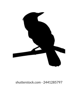 bird icon shape in wooden chatterbox